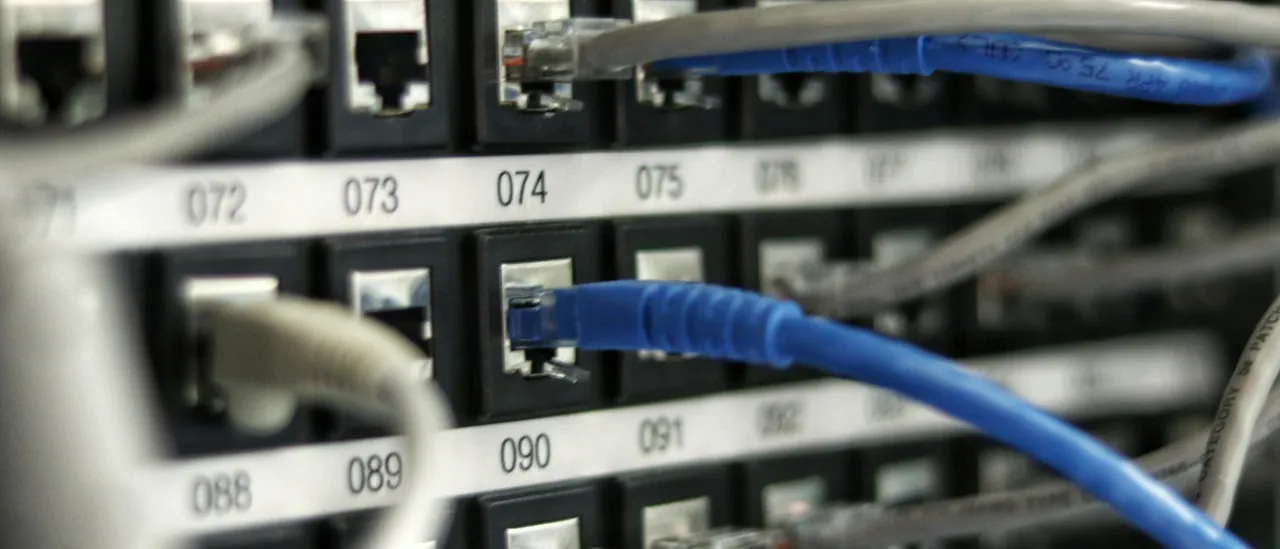 Blue network cables plugged into rack equipment